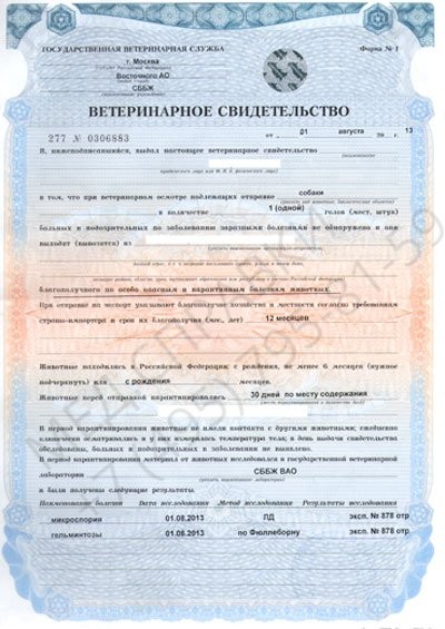 Ветеринарная справка по выгодной цене в Спб